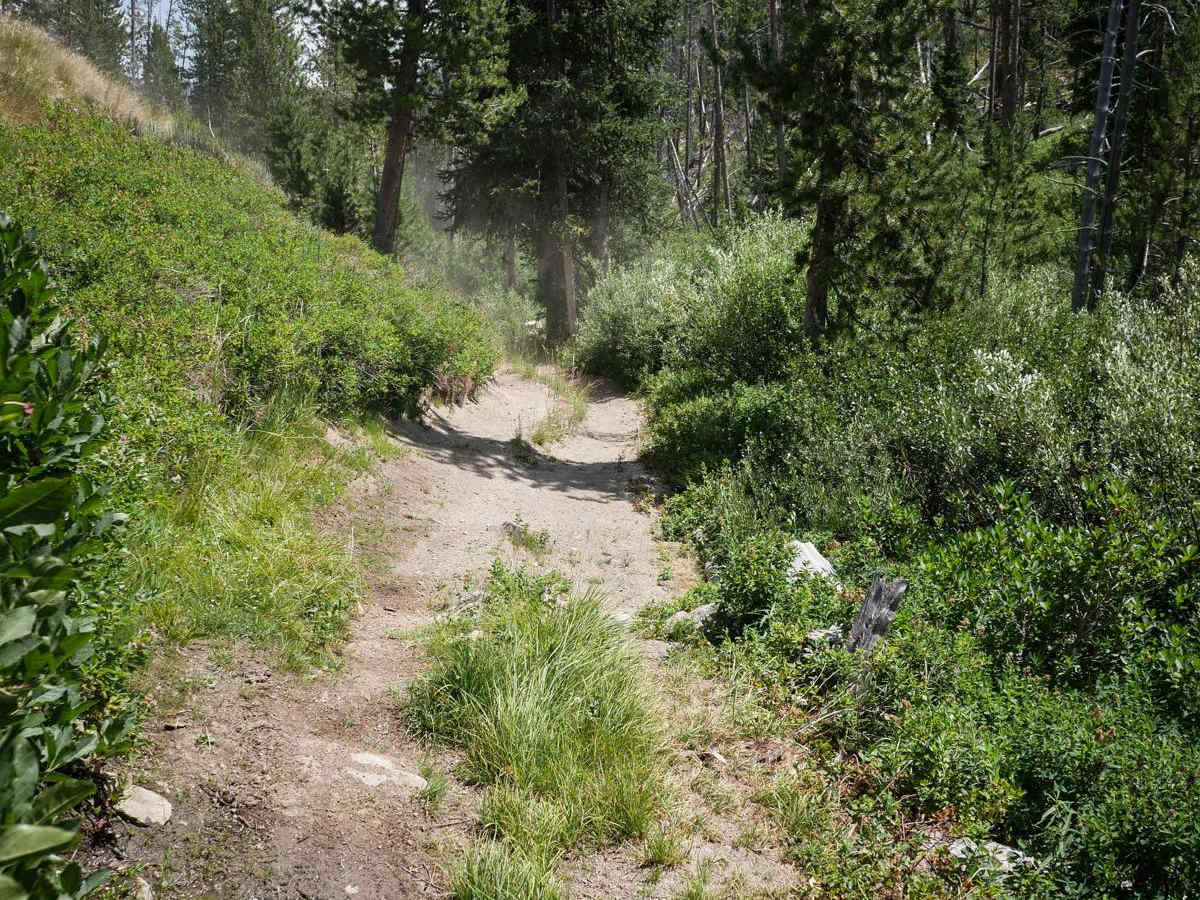 Kelly Creek ATV photo 5