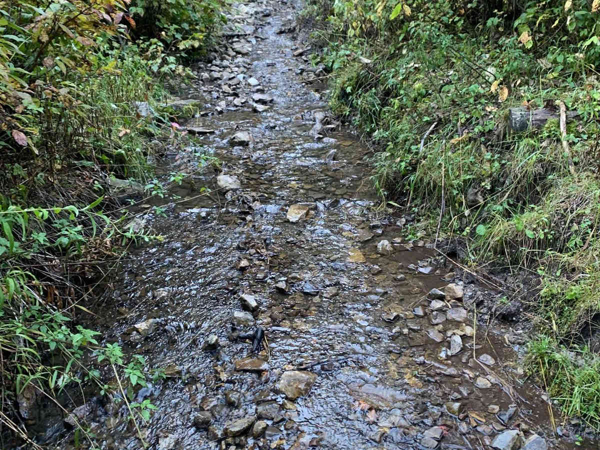 Fall Creek Indian Creek trail photo