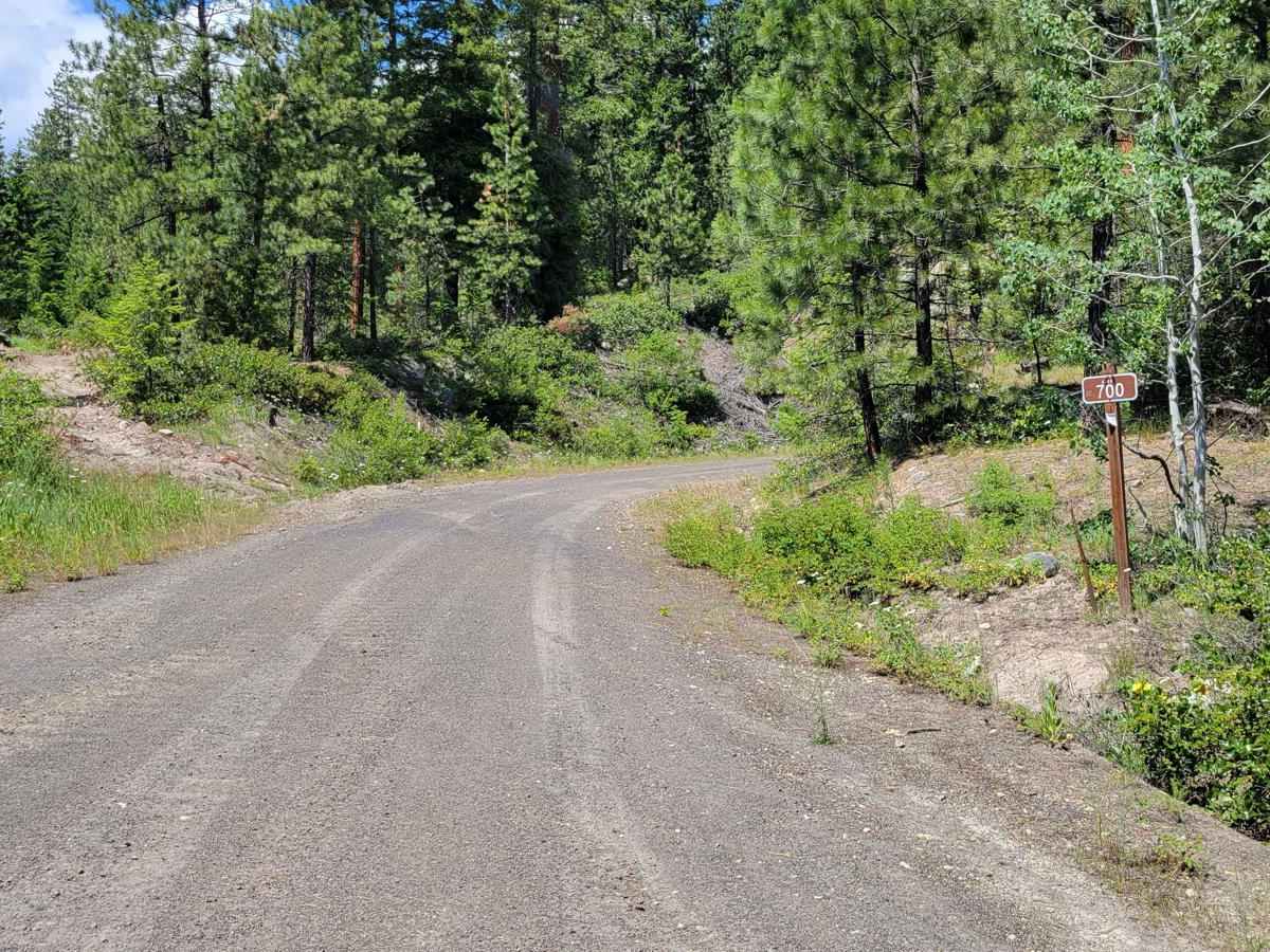 NF 700 - Libby Lake Trailhead photo 2