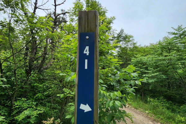 Trail 4I - Rock Run Recreation Area