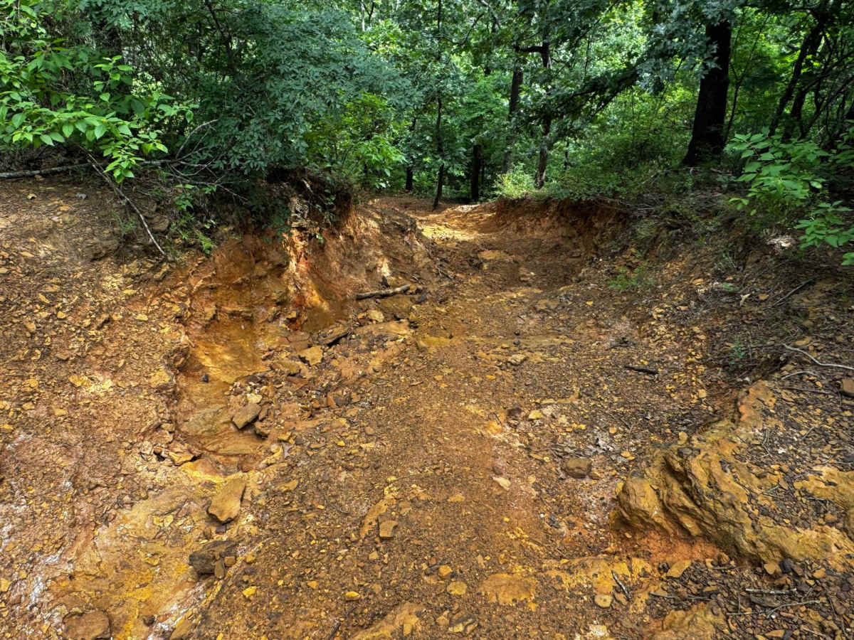 Jerry Paul's Expressway (JP Express) trail photo