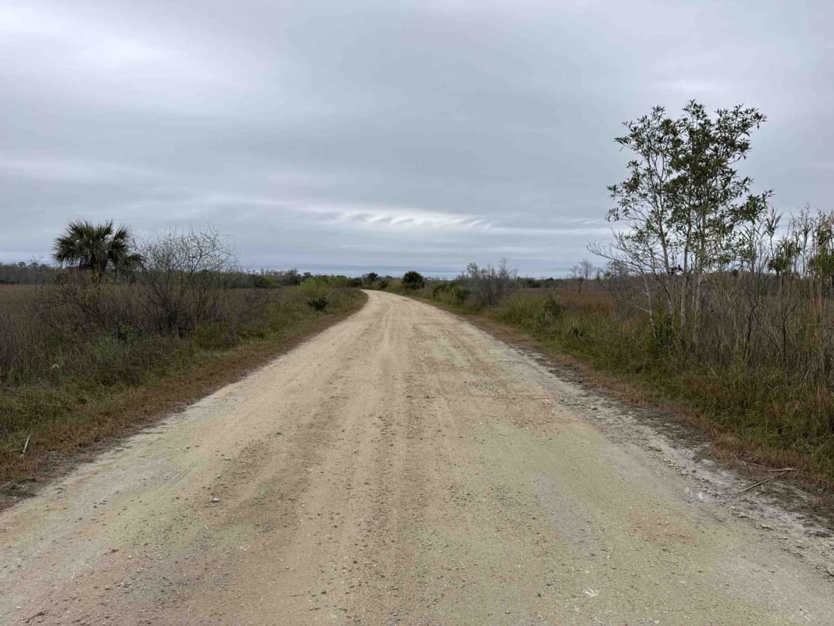 Janes Memorial Scenic Drive photo 5