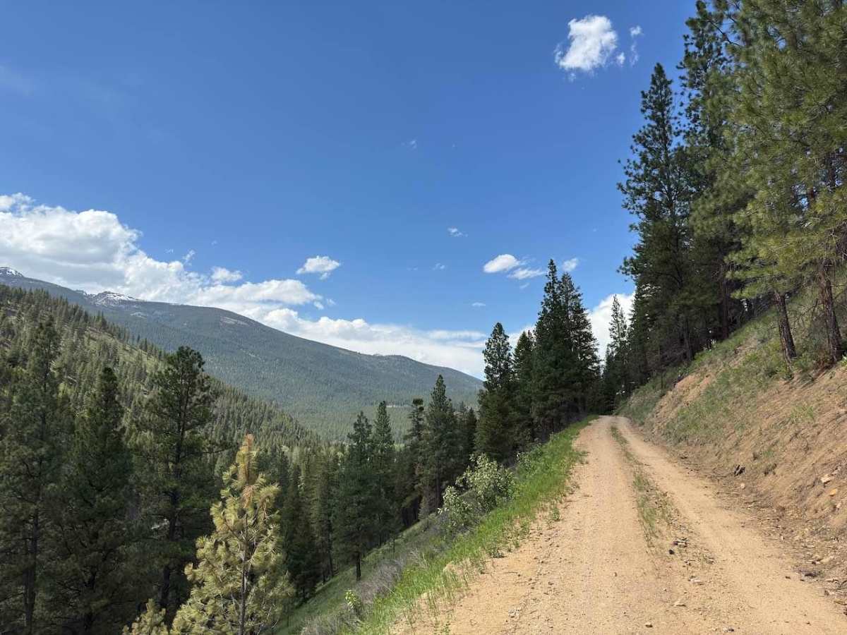 Shook Mountain photo 6