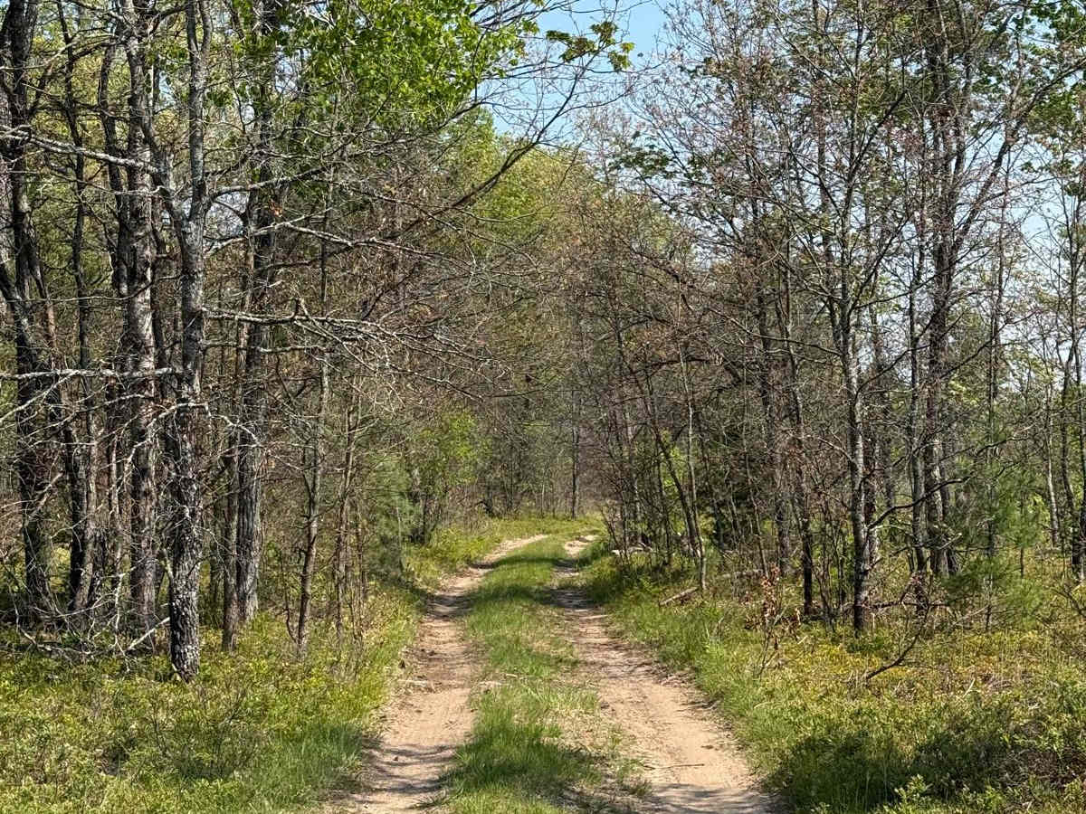 No. 2 East Trail trail photo