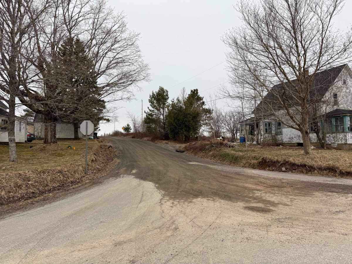 Thorne Road Trail photo 2