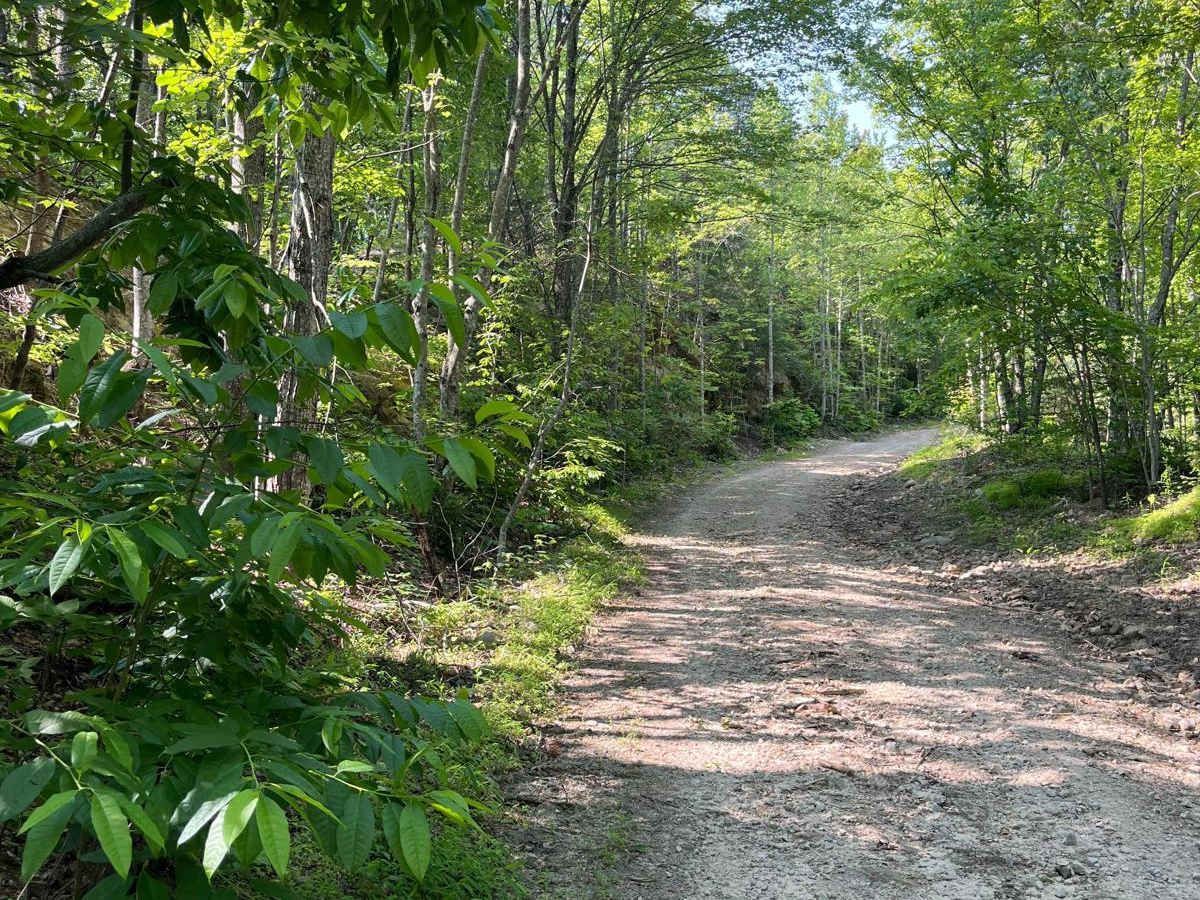 Trail 5 photo 5