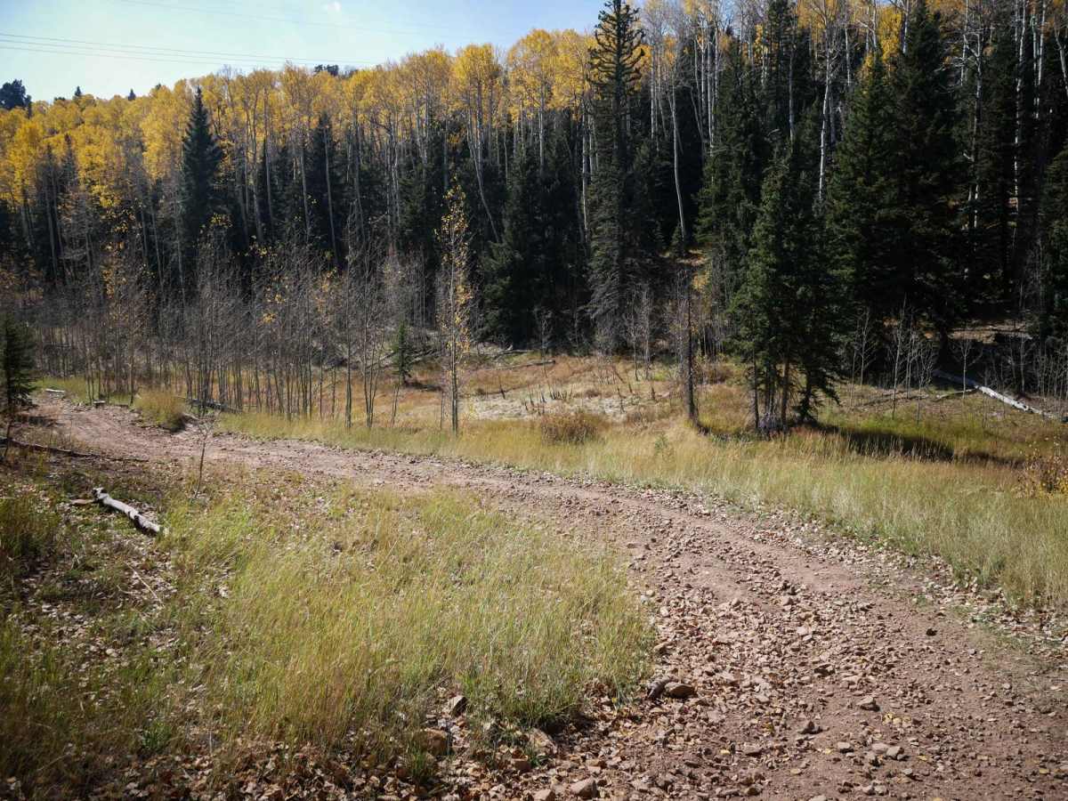 Dry Creek ATV Trail photo 3