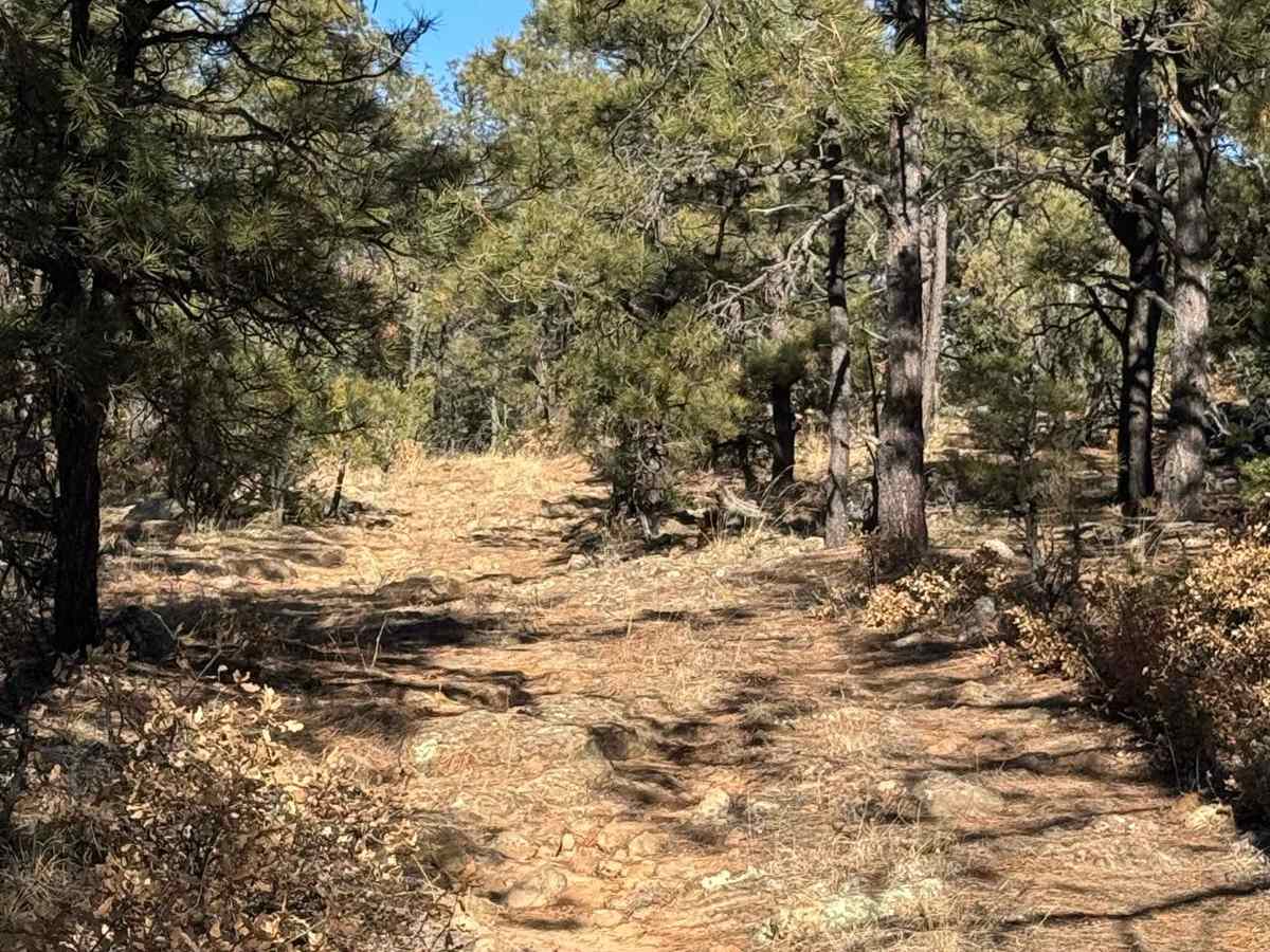 Rowe Peak Pass photo 3