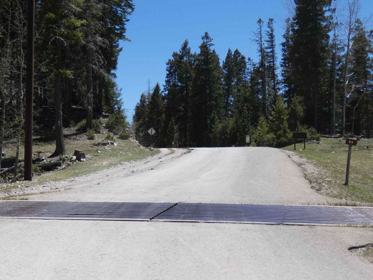 Agua Chiquita trail photo