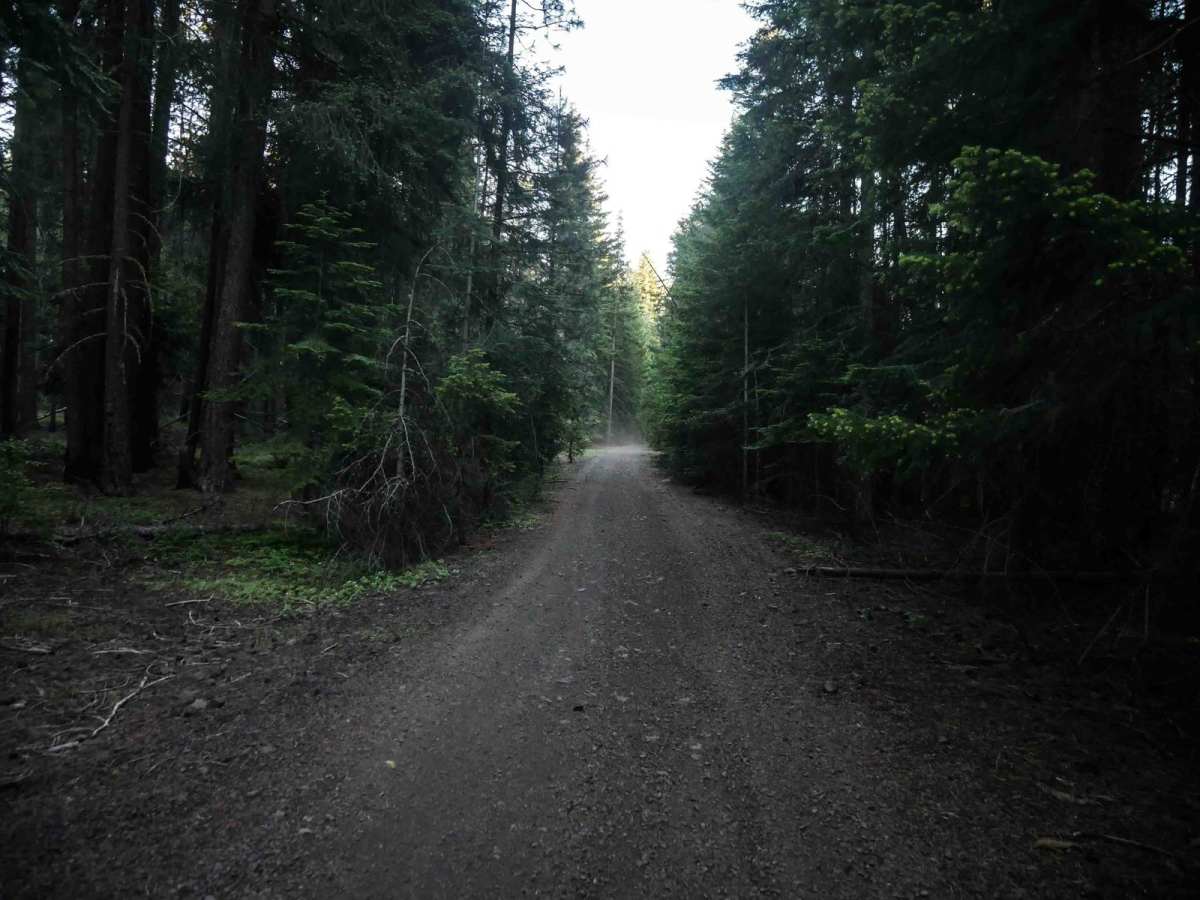 576E photo 6