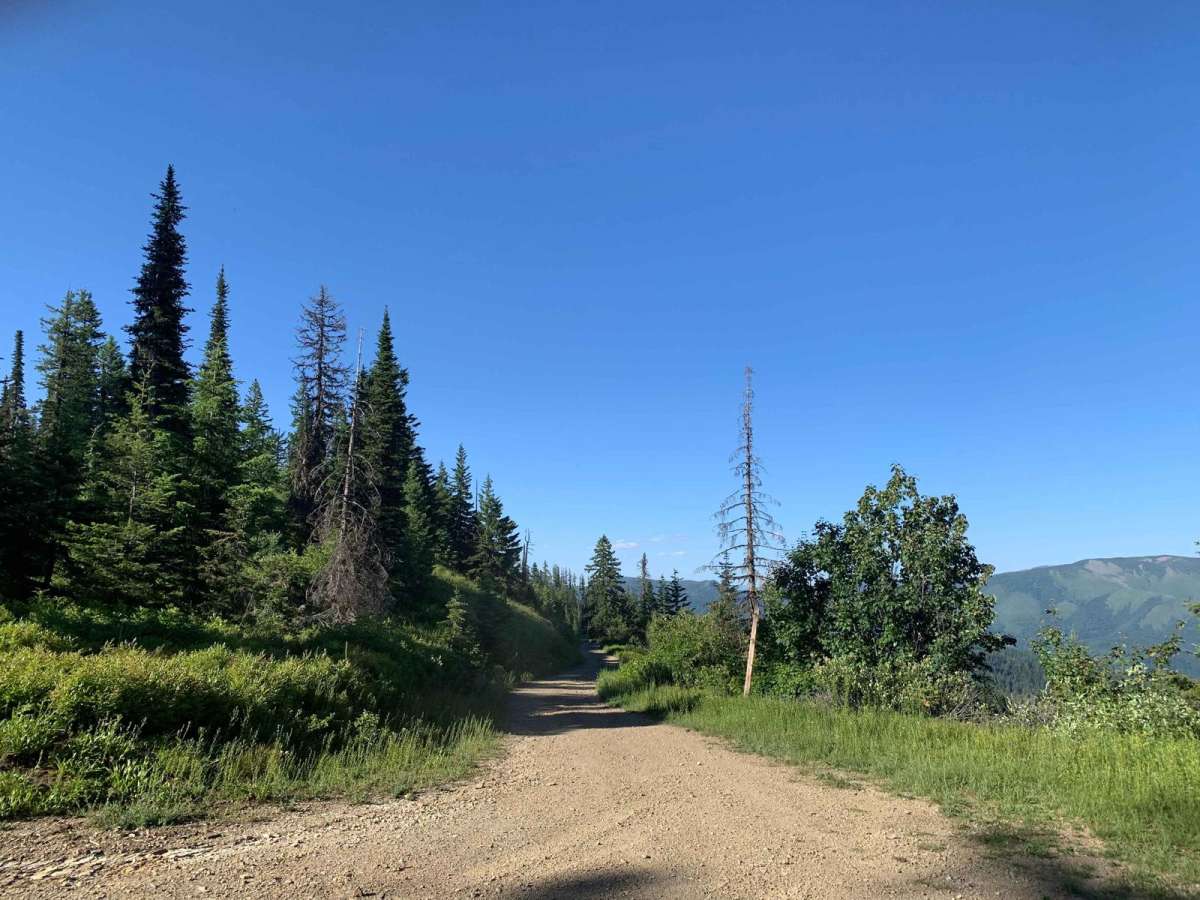 Miners Creek (804) trail photo