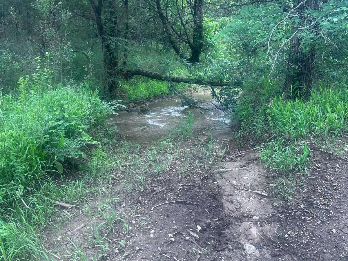 Powerline 2nd Segment photo 2