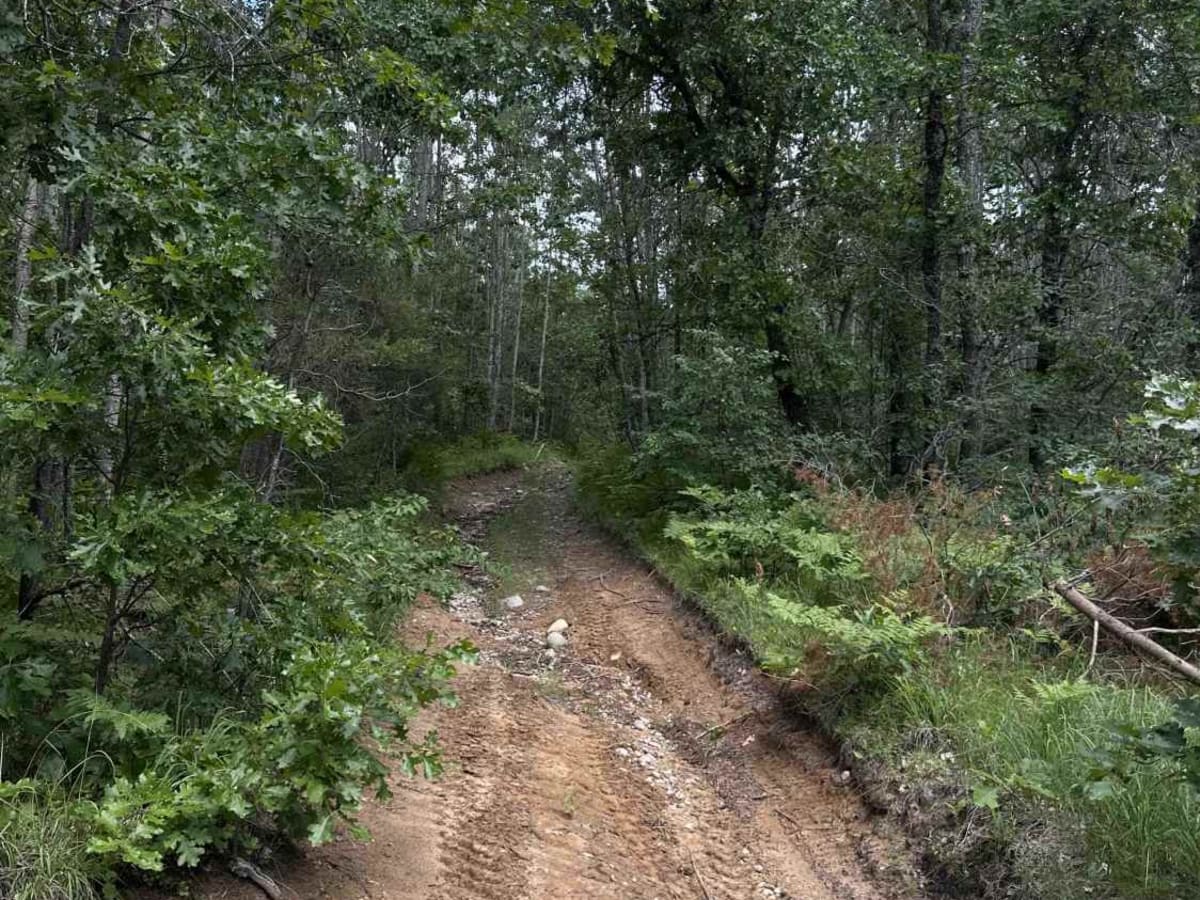 LP 9 to Sinkholes photo 3