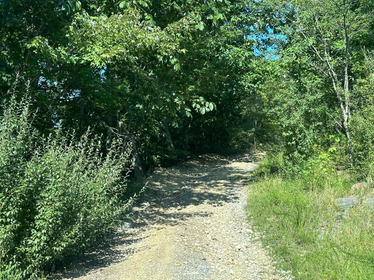 109 photo 2
