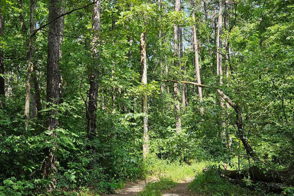 Boom Hole Access - FSR 3155B