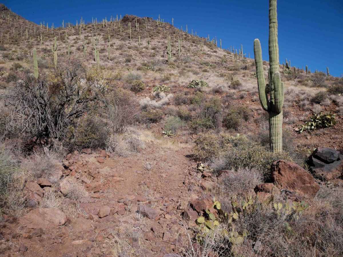 31134 trail photo