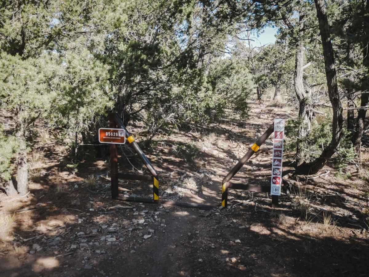 Rattlesnake trail photo