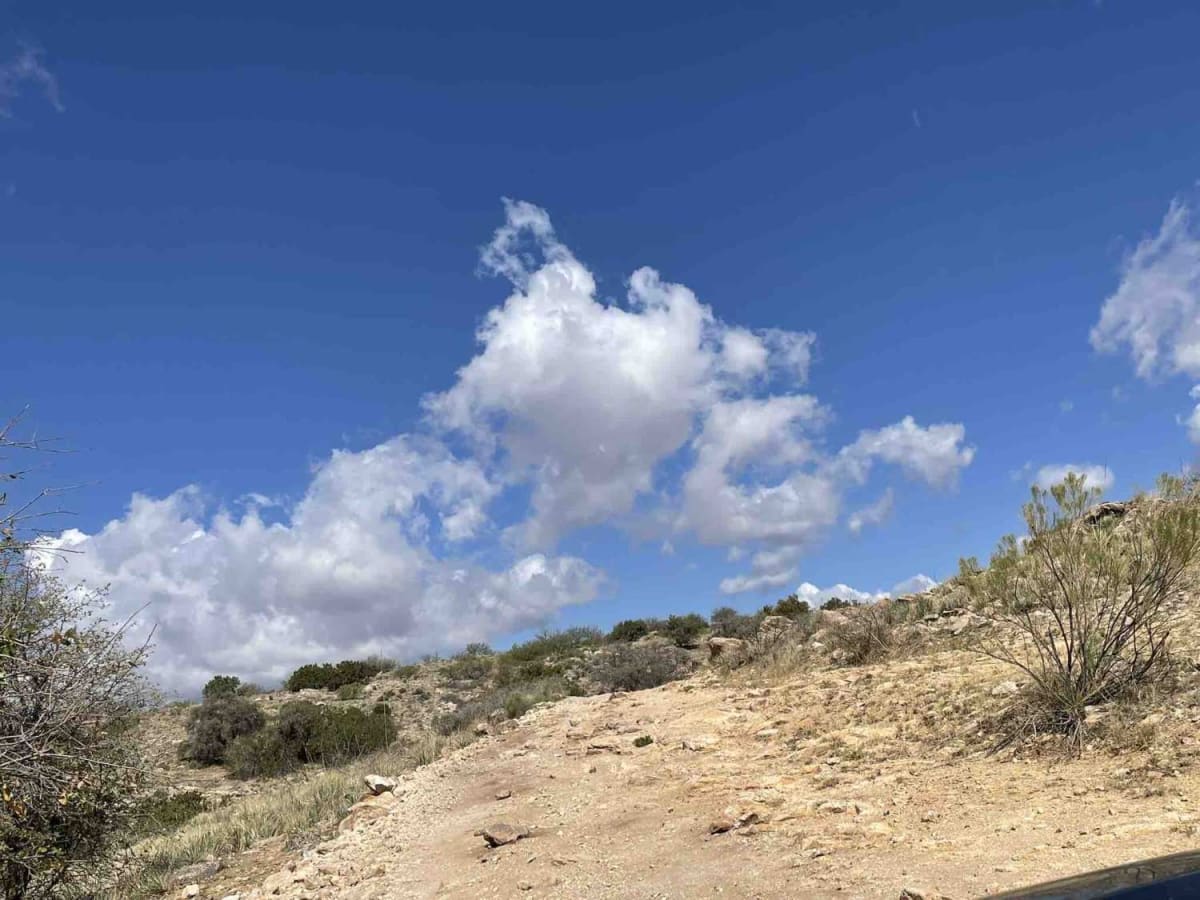 Chiva Loop - Forest Road 4417 photo 4