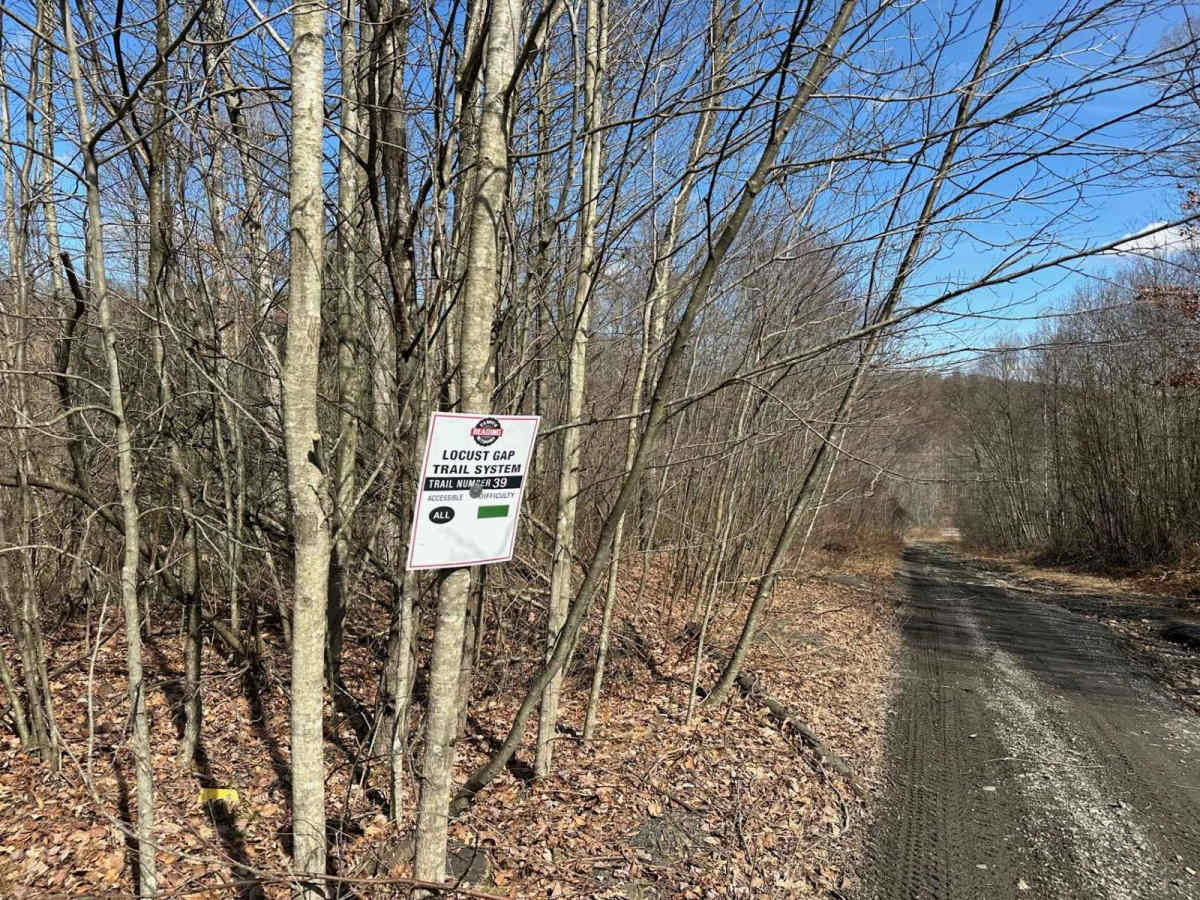 Locust Gap 39 photo 6