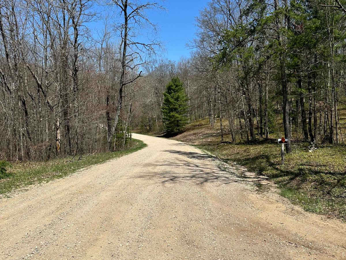 Cadillac Area ORV/OHV Scenic Ride - Part 15 photo 5