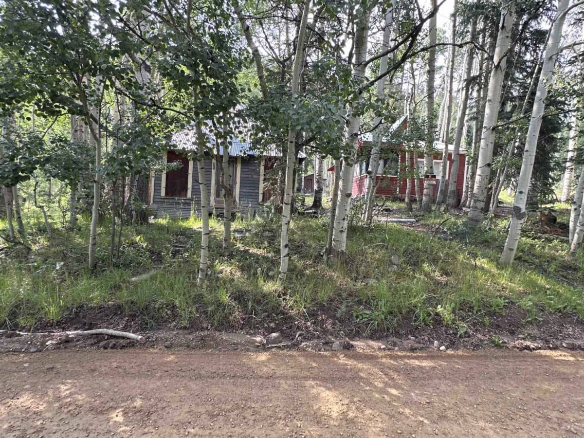 La Plata Canyon/CR 124 photo 5