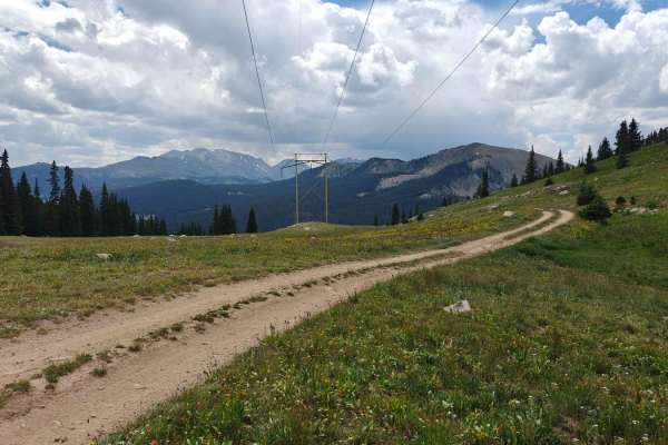 Powerline - Cunningham Road