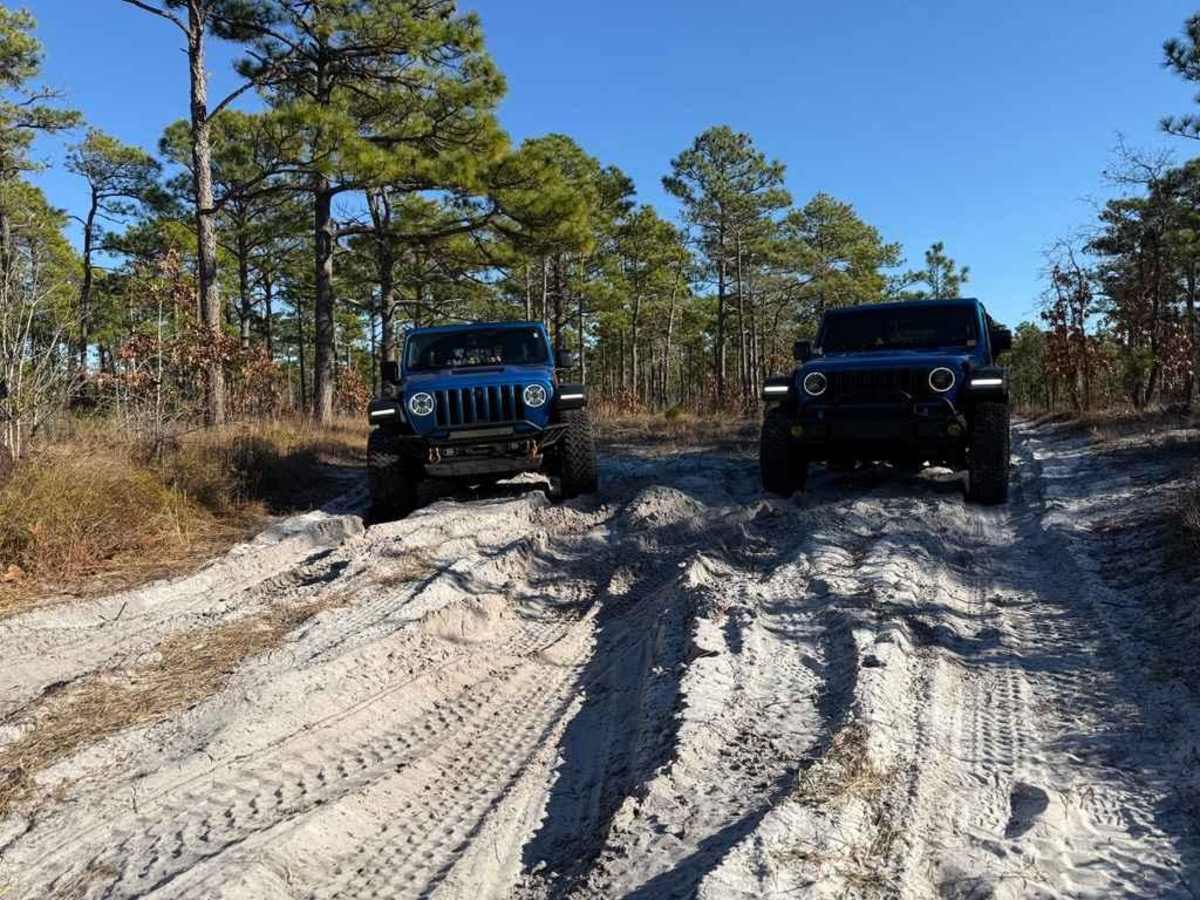 Bogue Road Spur 3 trail photo