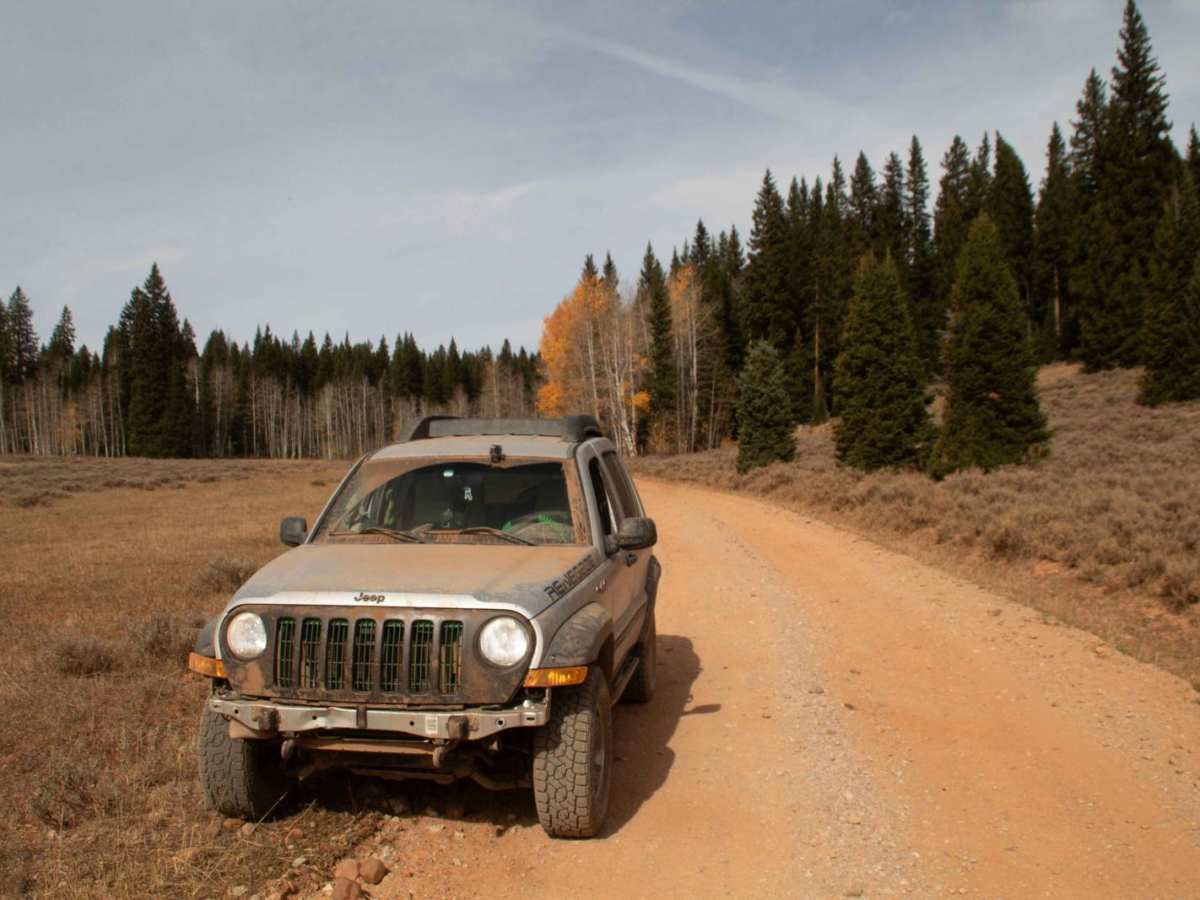 Curtis Creek Road (FR059) photo 4