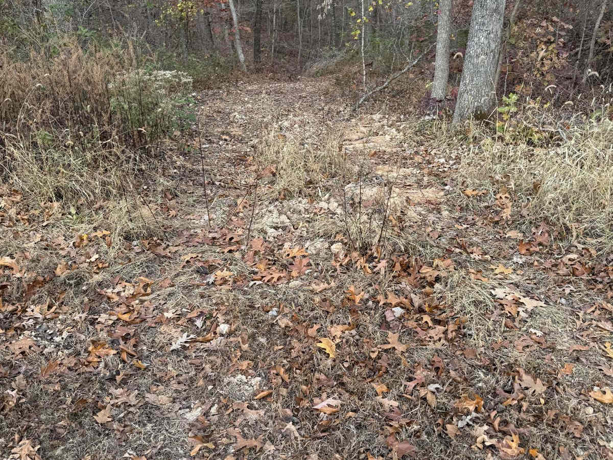 Green 192 trail photo