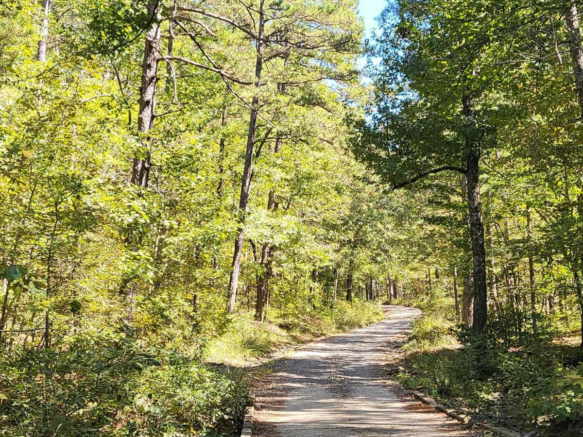 Big Athens Fork photo 3