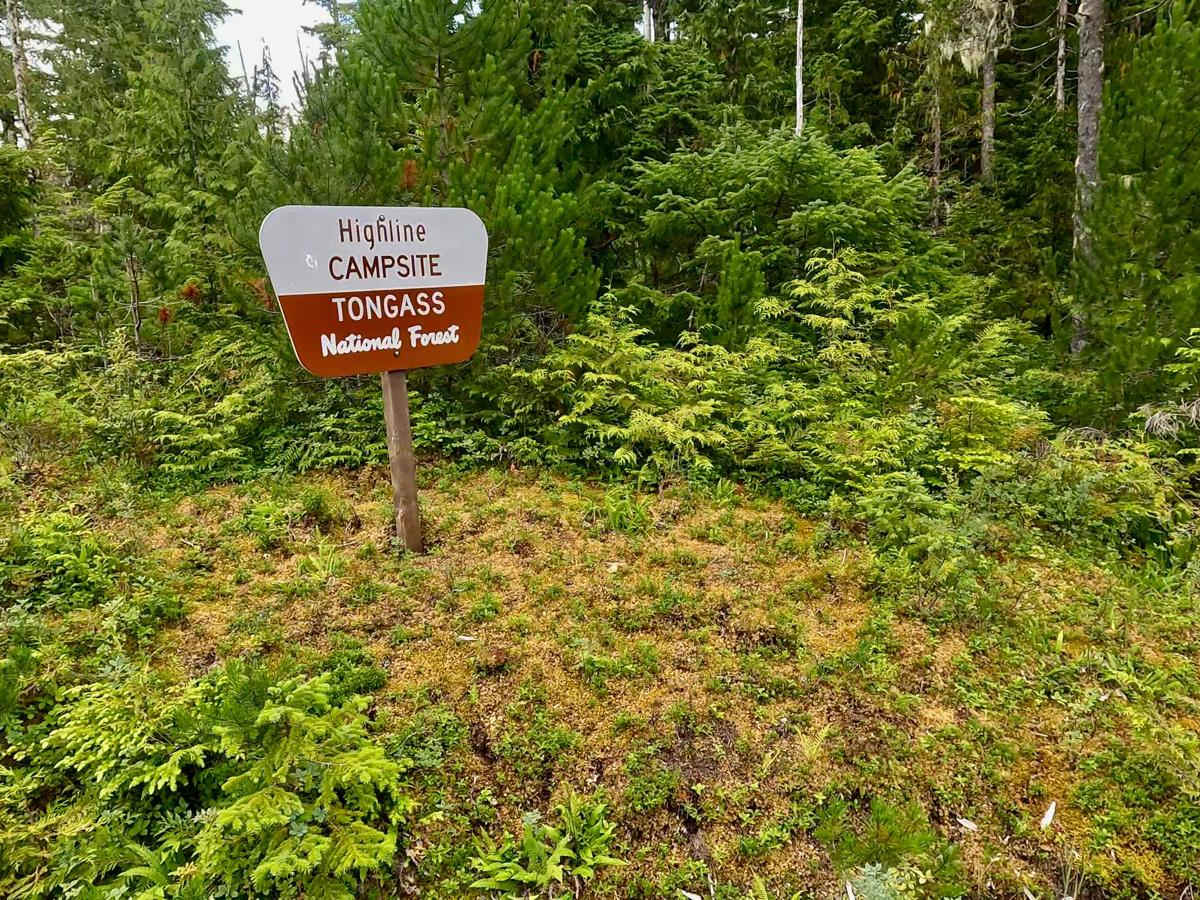 Highline Campsite 50035 trail photo