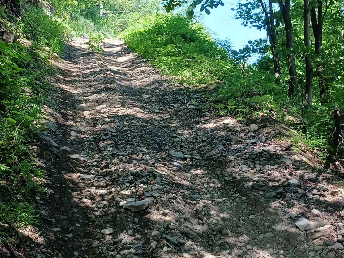 Trail 13G - Rock Run Recreation Area photo 6