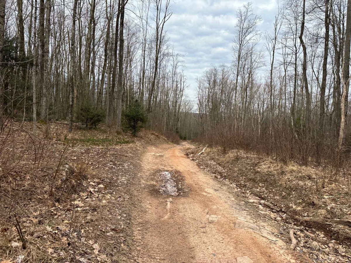 Tower City 1 trail photo
