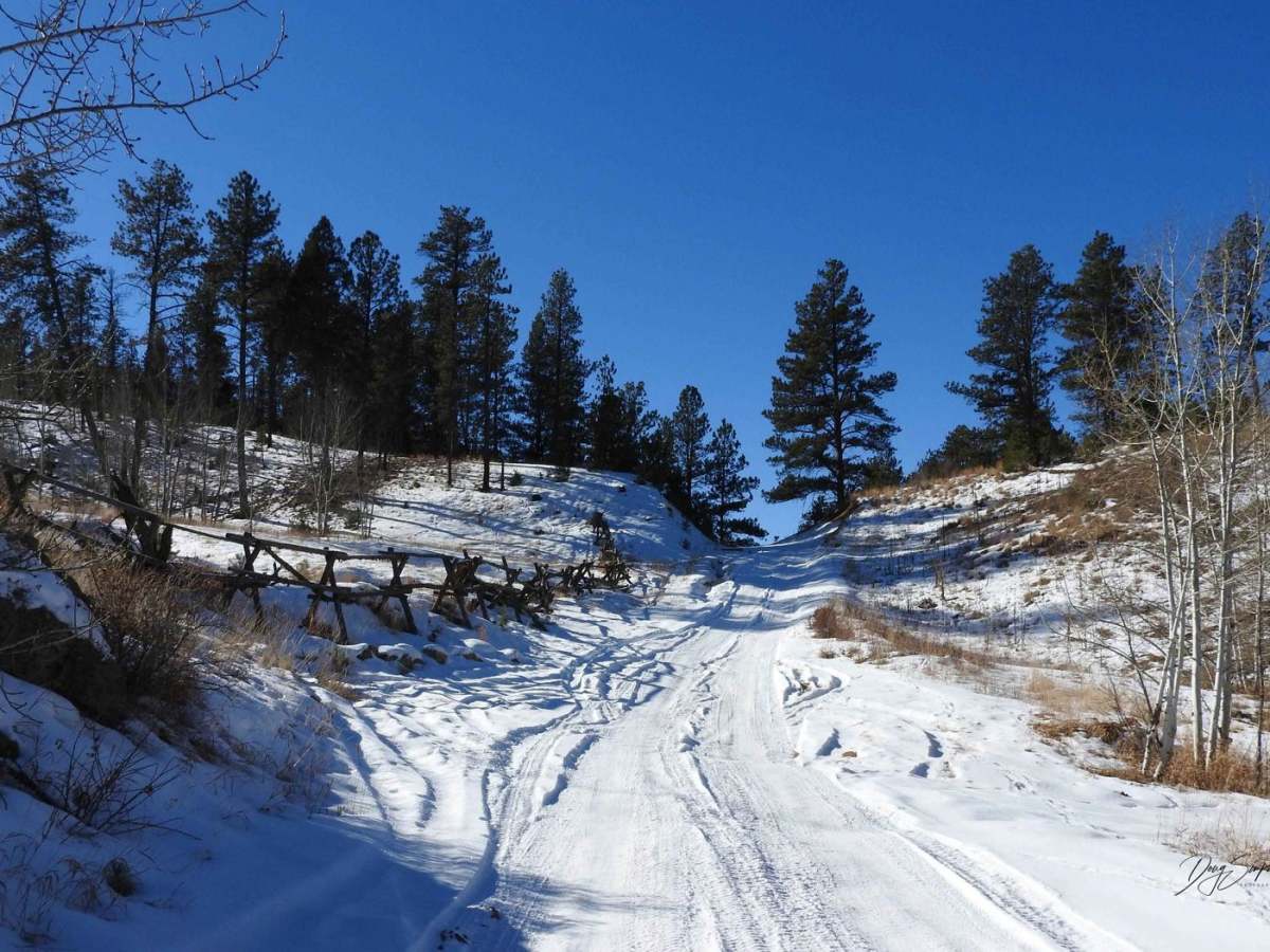 Trail Creek Road photo 2