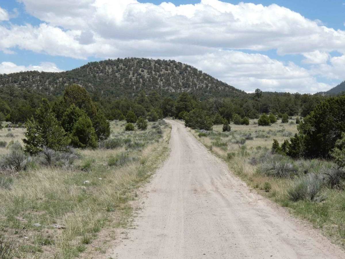 Swingle Canyon FS62 photo 2