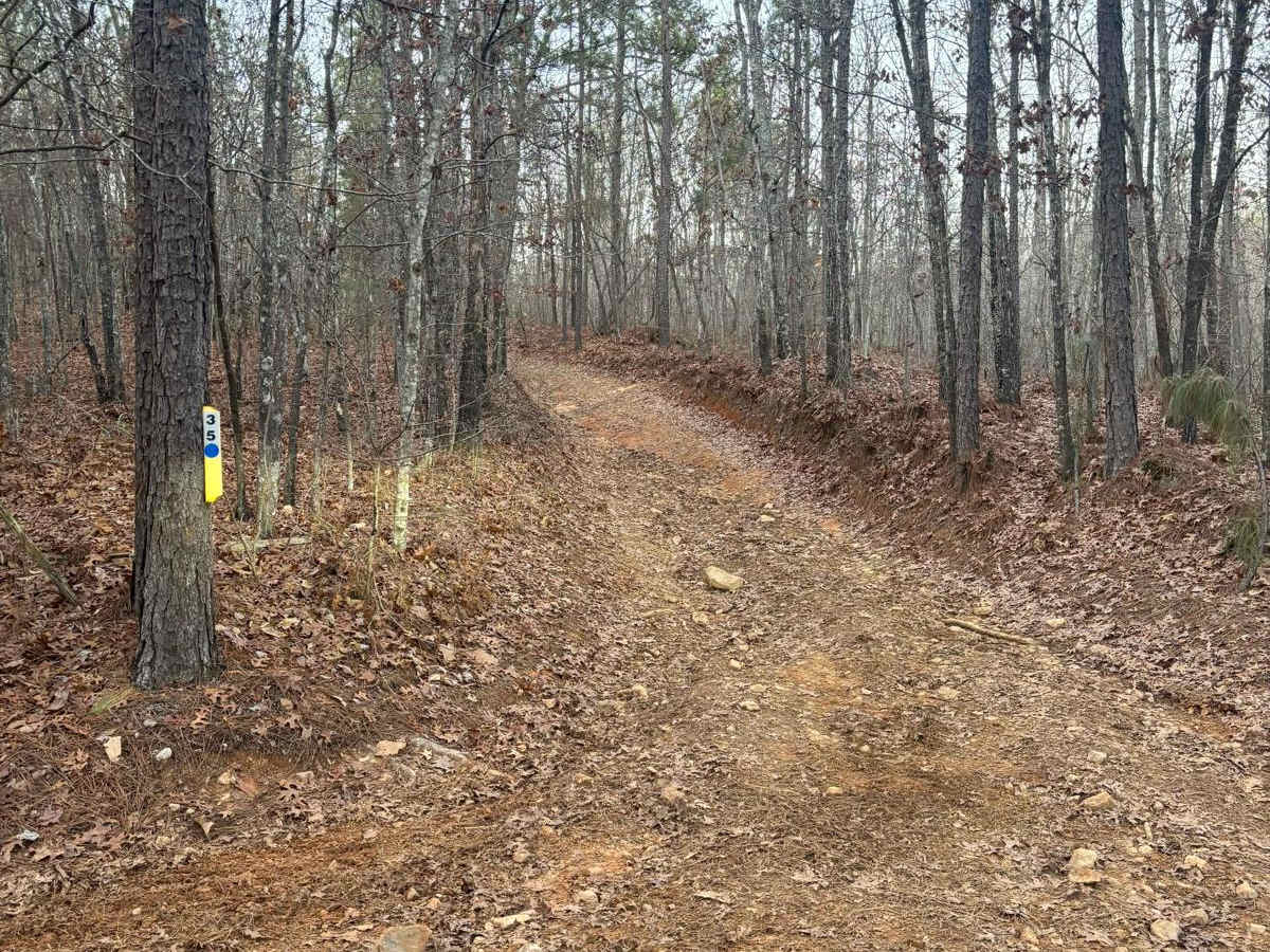 35 trail photo