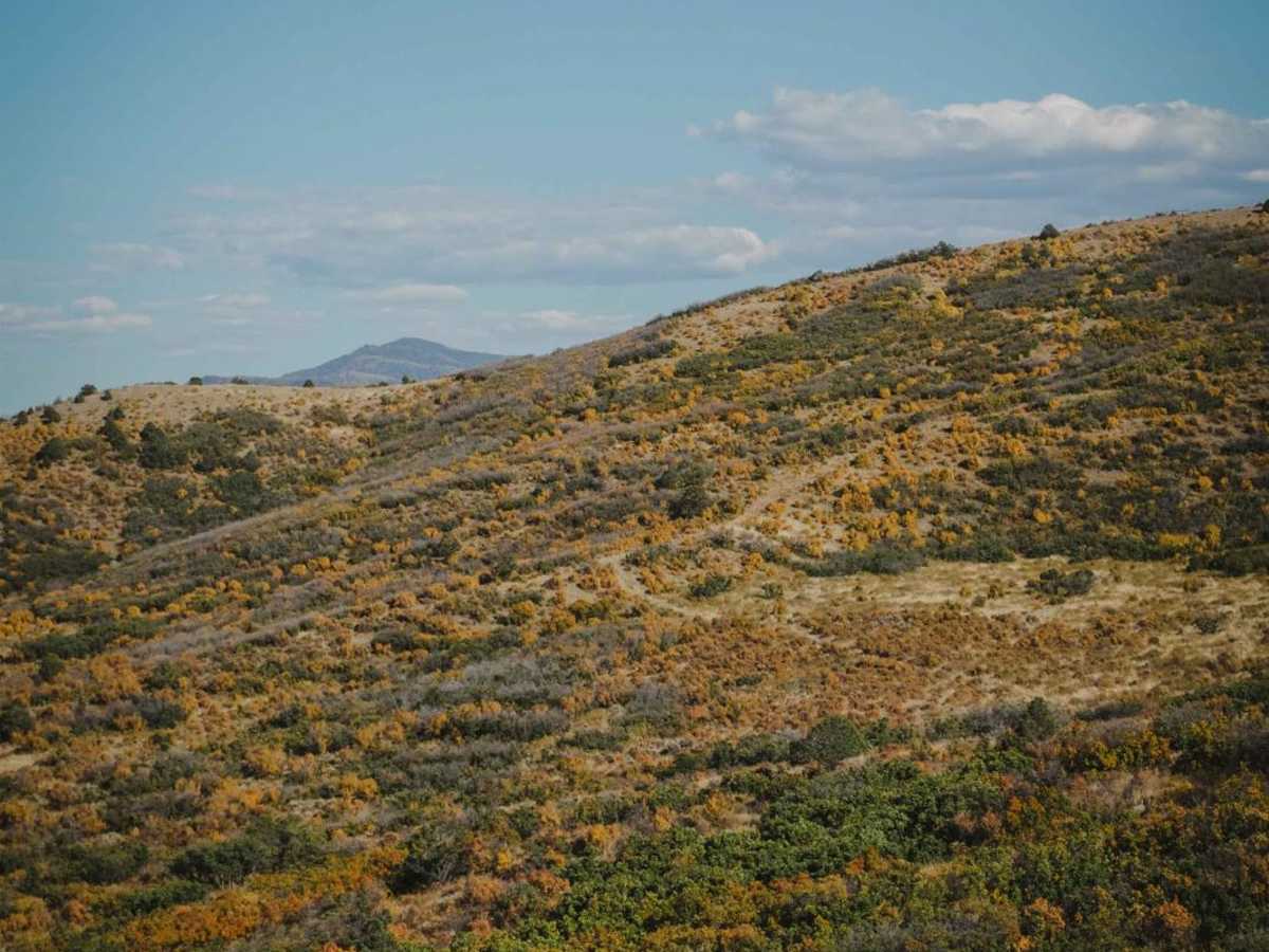 Buckhorn trail photo