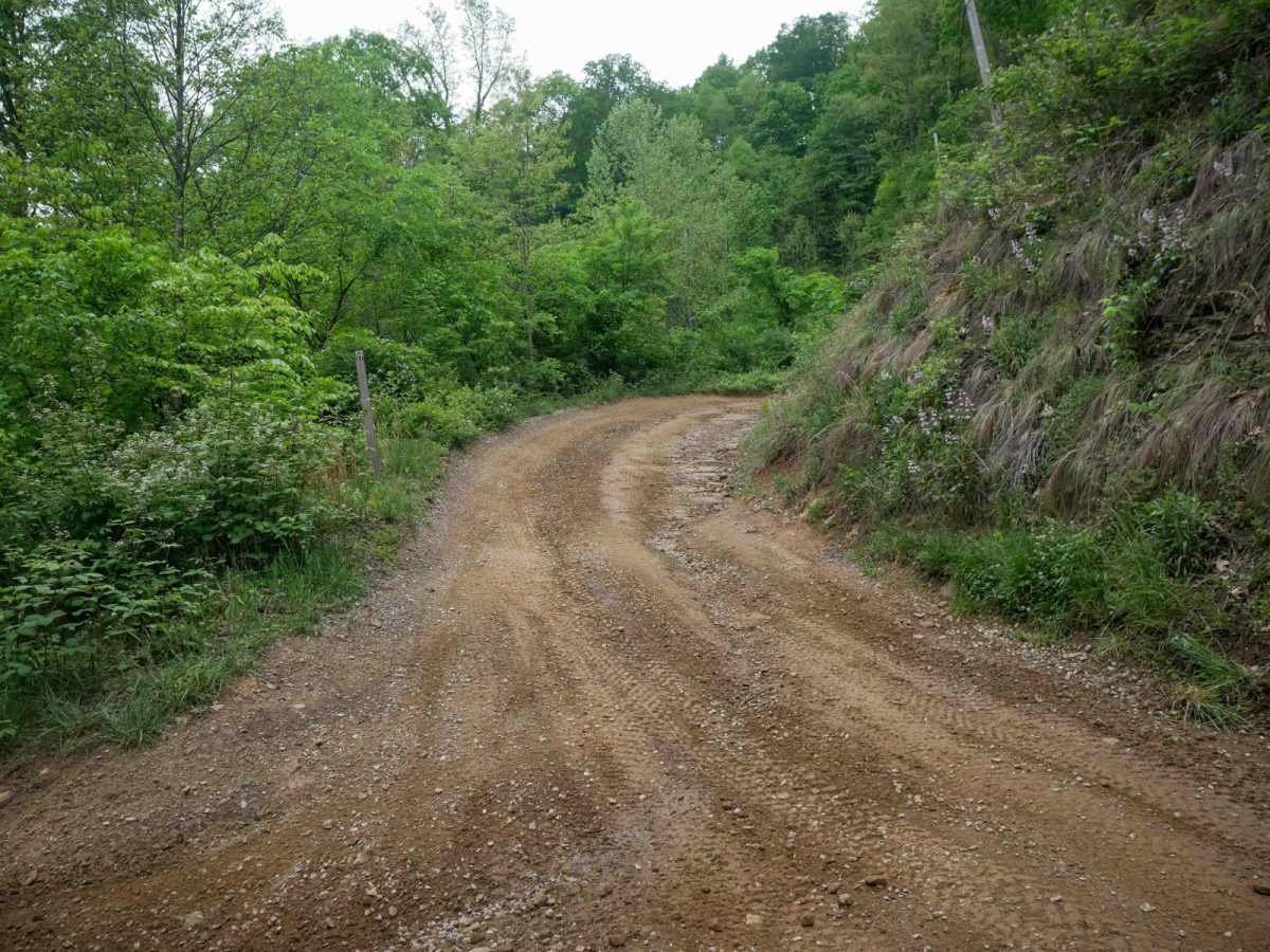 BM 37 trail photo