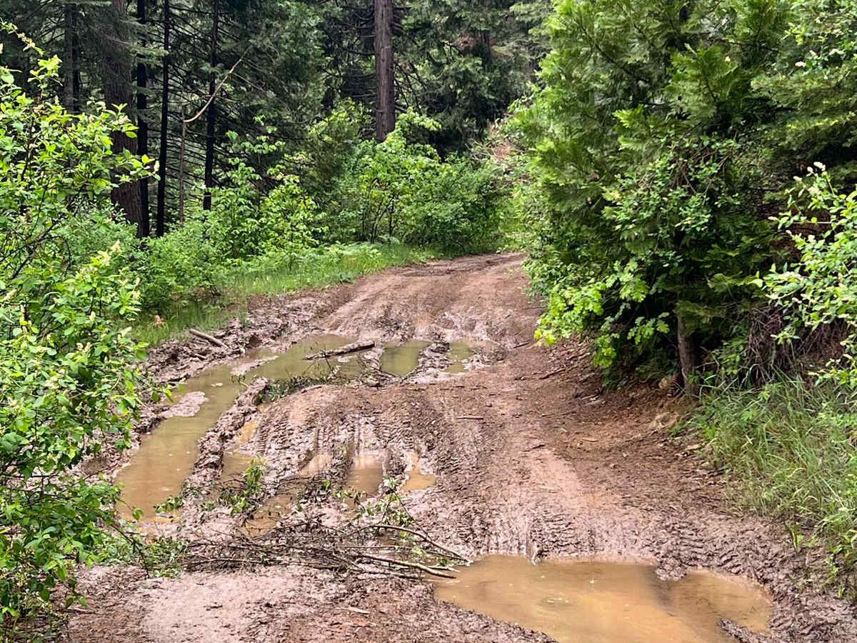 North Fork Crossing trail photo