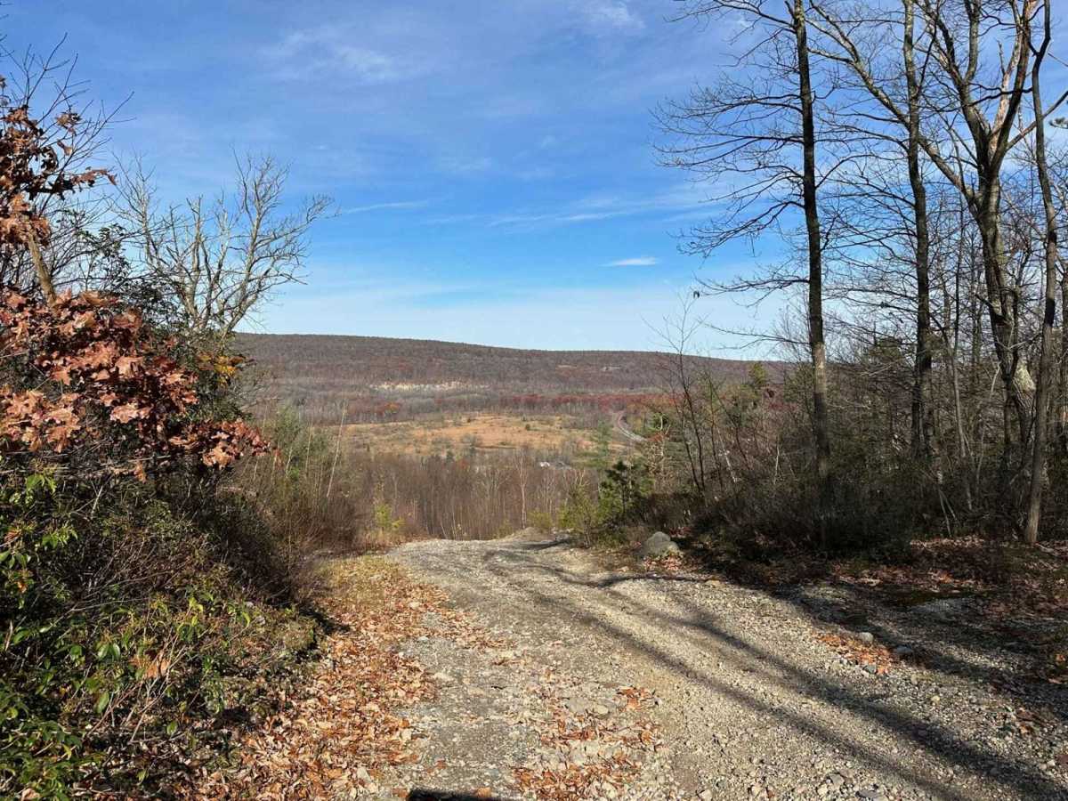 Ashland 169 trail photo