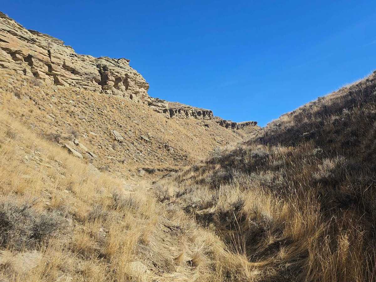 Leaf Spring trail photo