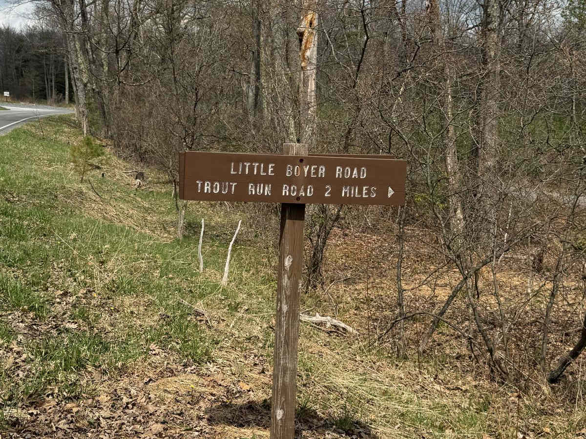 Little Boyer Road trail photo