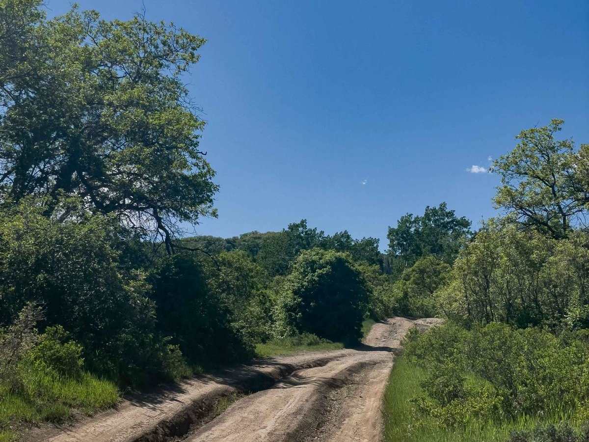 Mill Canyon Spring, 70180 photo 4