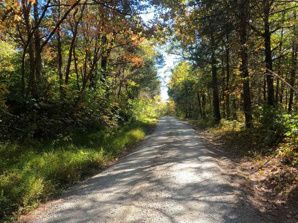 Bork Falls Road photo 5
