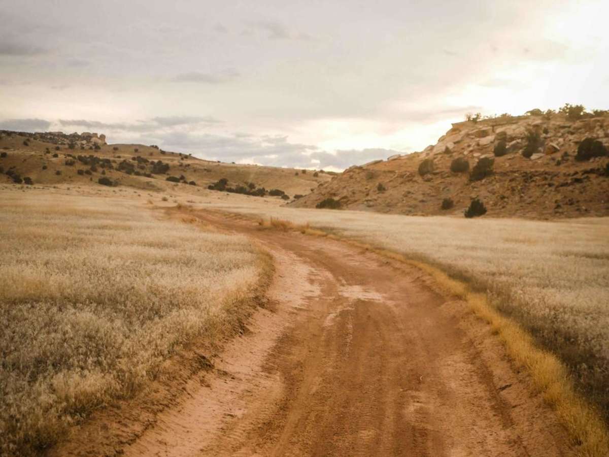 Trail 5 photo 4