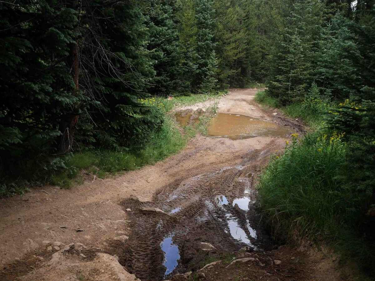 Illinois Pass Trail photo 3