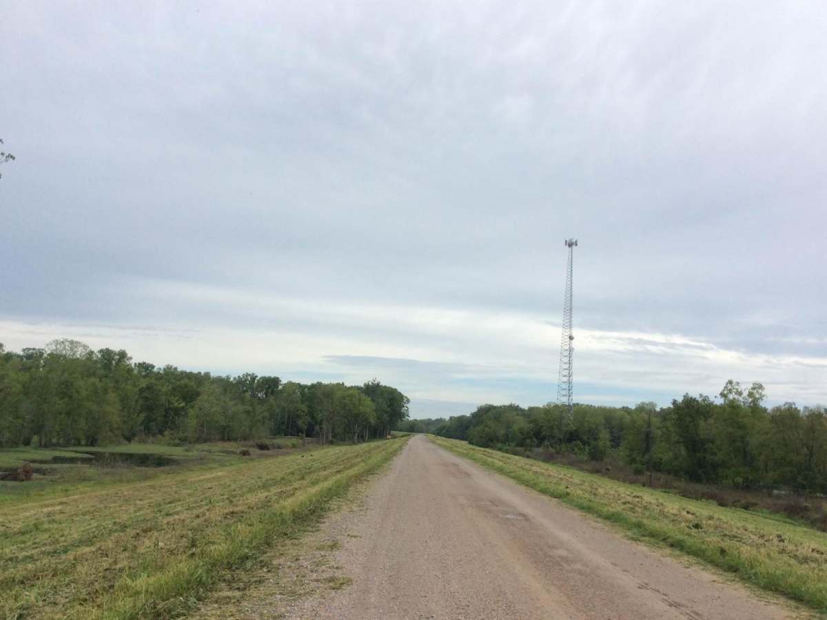 Red River Levee Trail photo 4