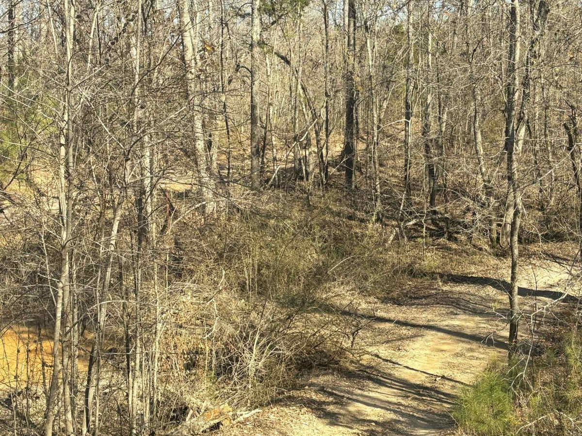 Creek Trail Bypass trail photo