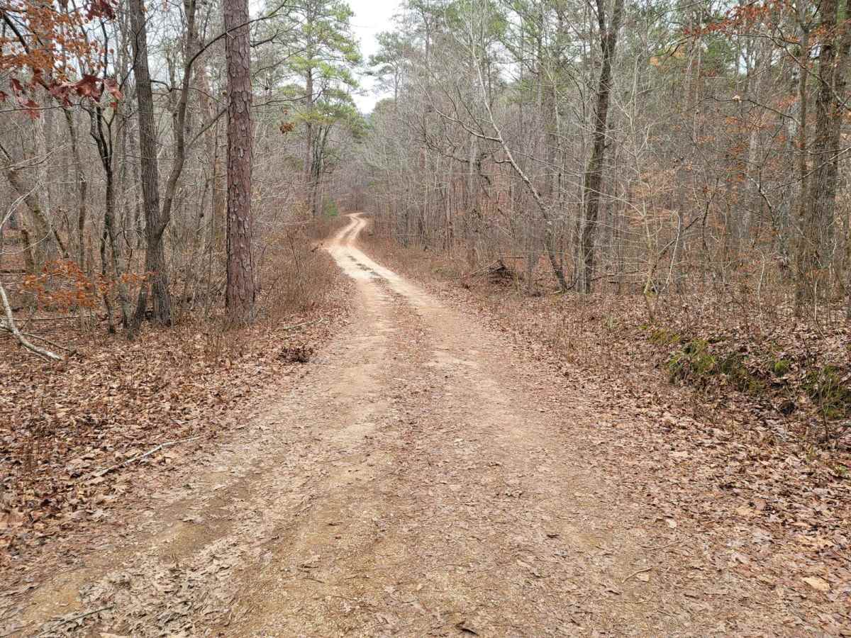 Kings Gap Mountain Road photo 2