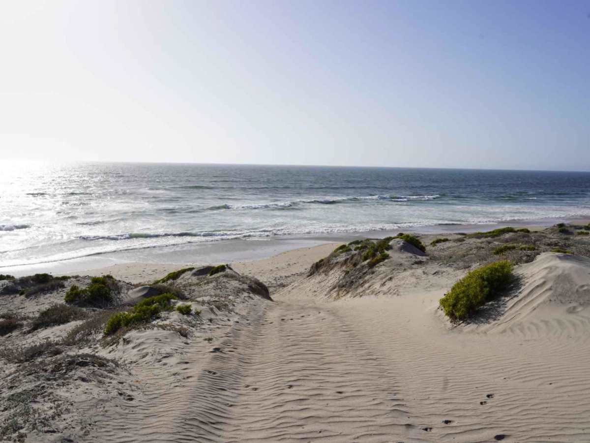 La Bocana Beach Camp trail photo